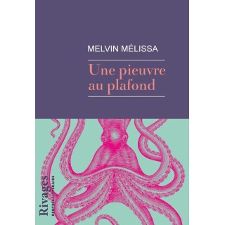 Une pieuvre au plafond