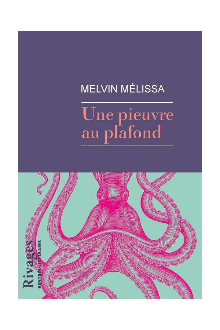 Une pieuvre au plafond