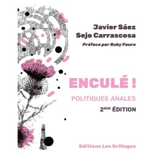 Enculé ! Politiques anales