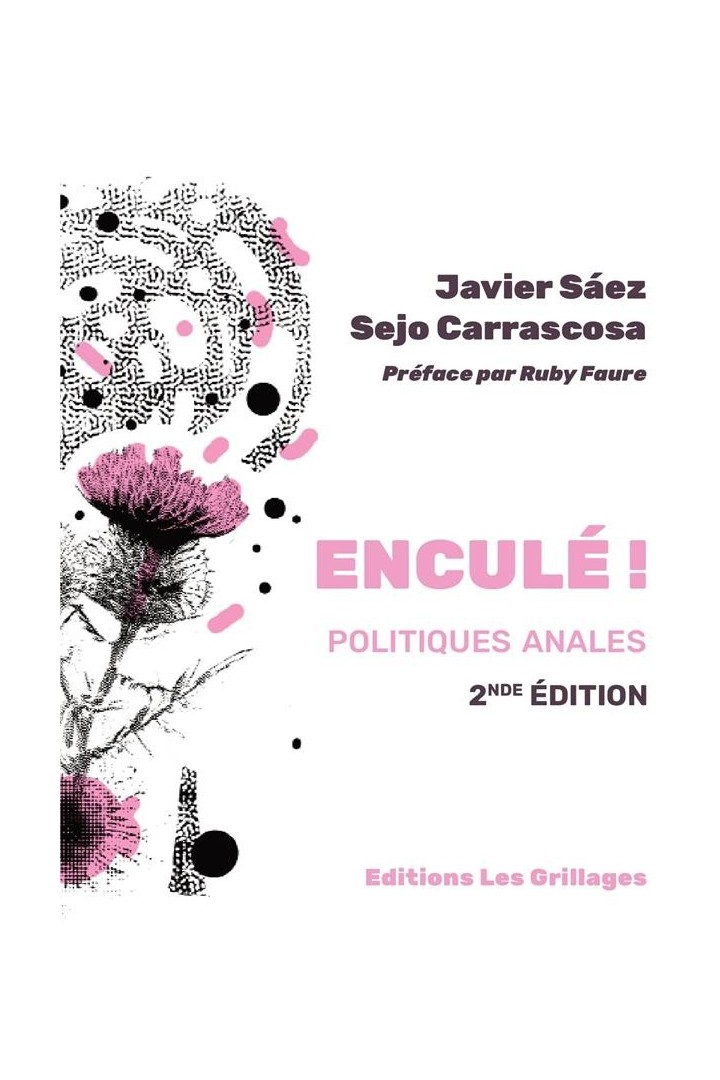 Enculé ! Politiques anales