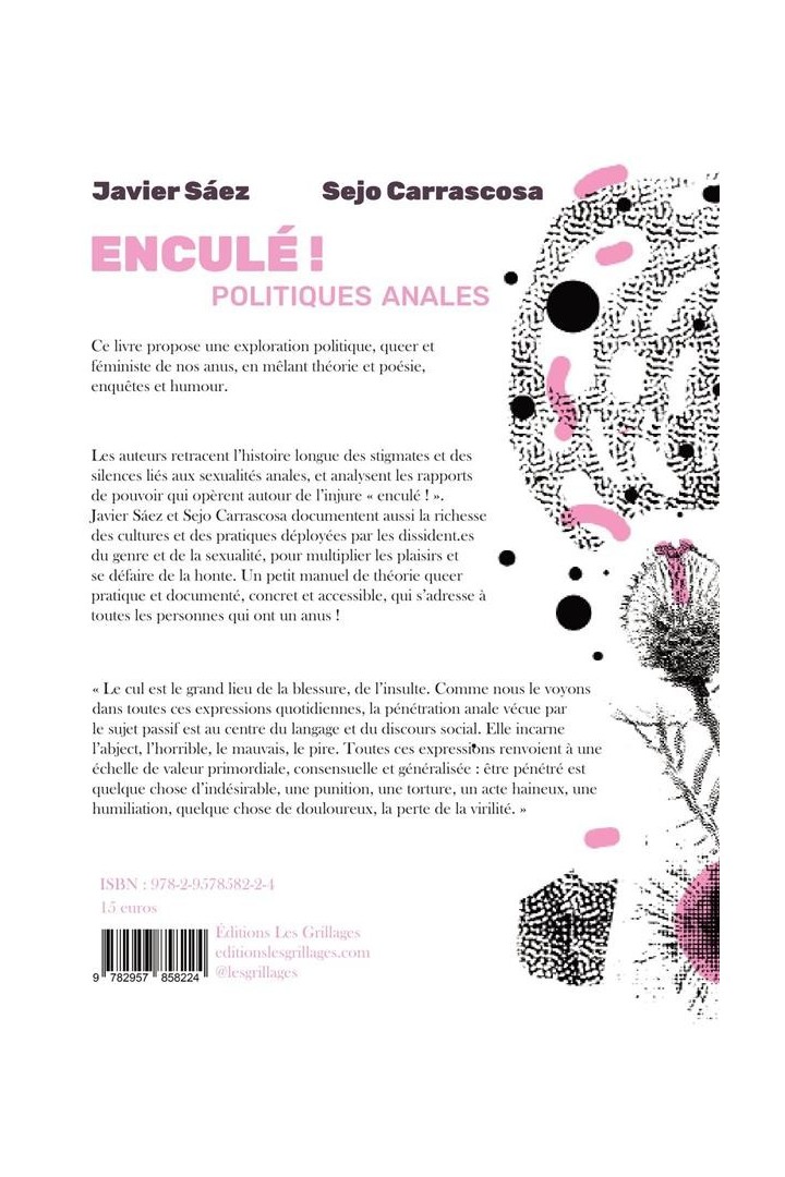 Enculé ! Politiques anales