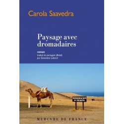 Paysage avec dromadaires