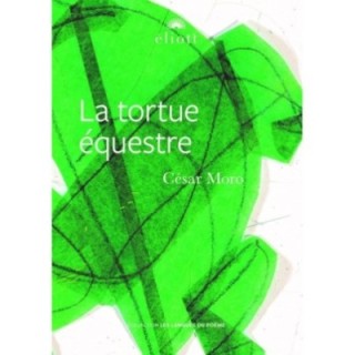 La tortue équestre