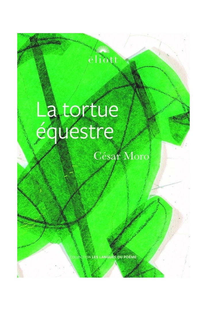 La tortue équestre
