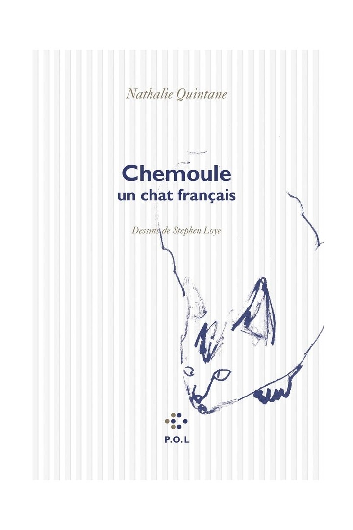Chemoule, un chat français