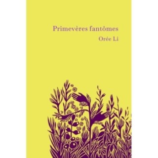 Primevères fantômes