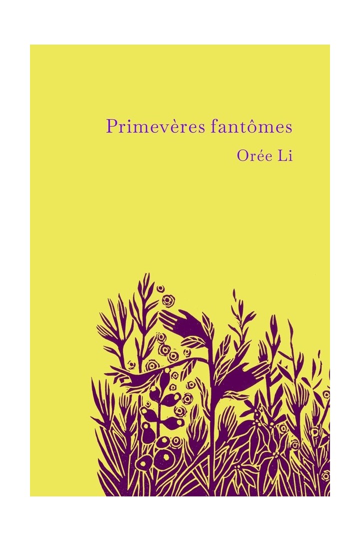 Primevères fantômes