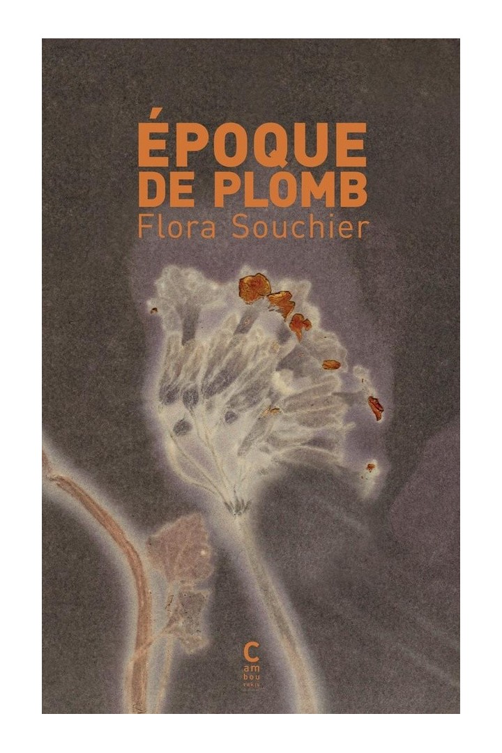 Époque de plomb