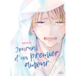 Journal d'un premier amour