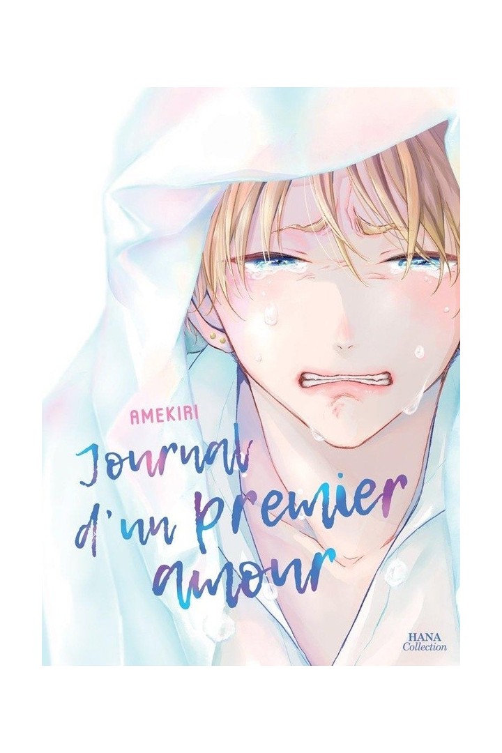Journal d'un premier amour