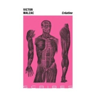 Créatine