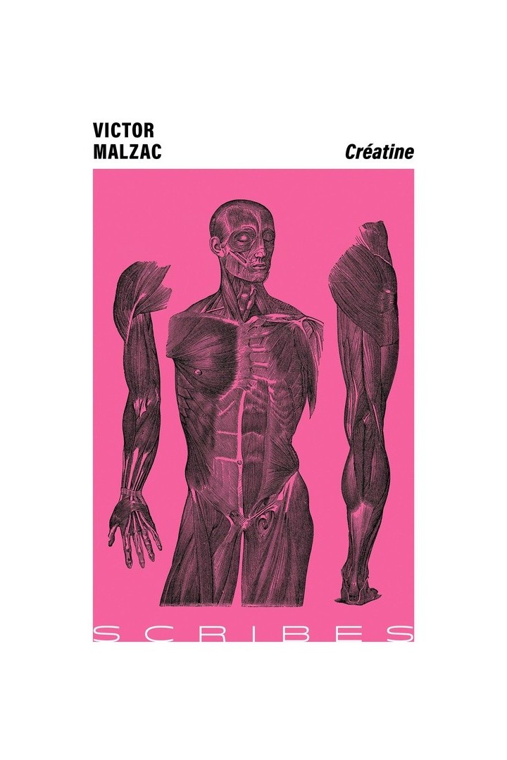 Créatine