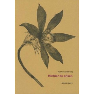 Herbier de prison (1915 - 1918)