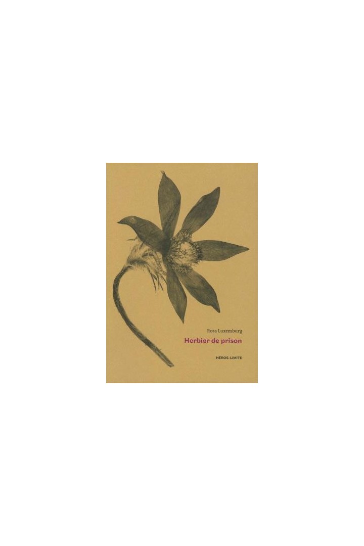 Herbier de prison (1915 - 1918)