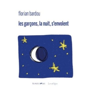 Les garçons, la nuit, s'envolent