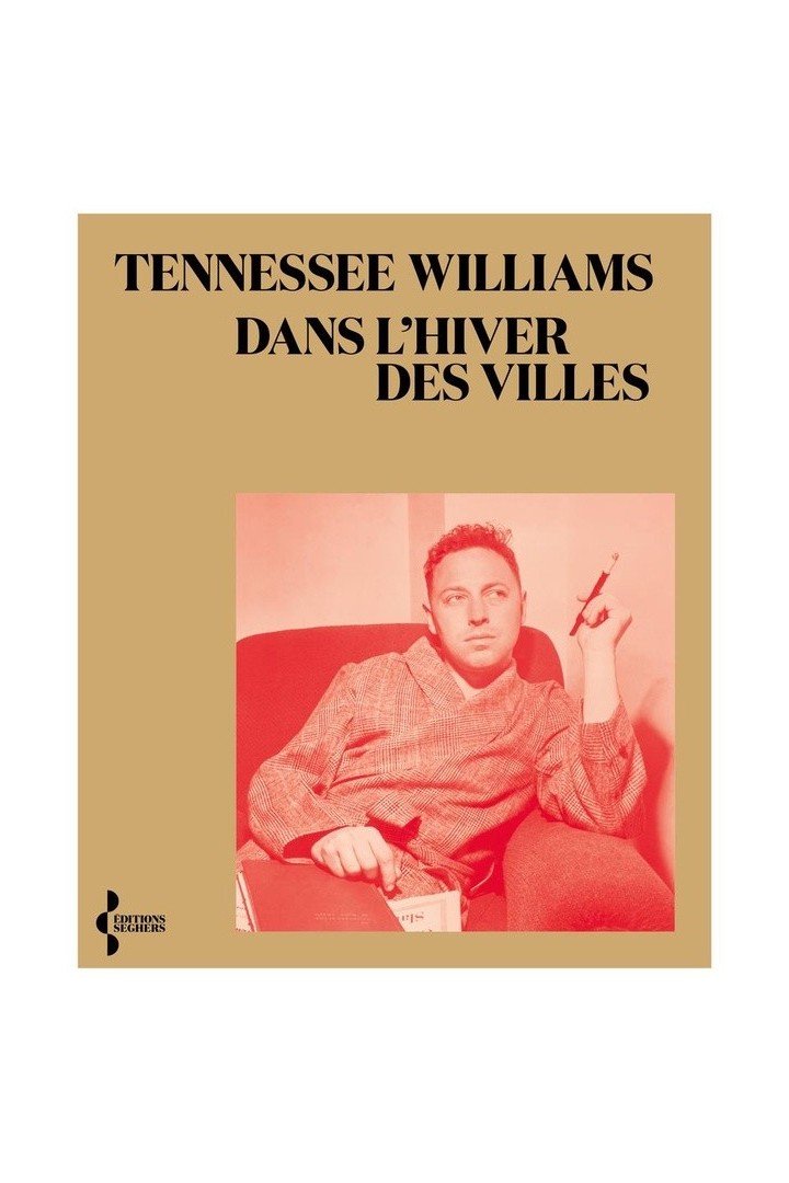 Dans l'hiver des villes