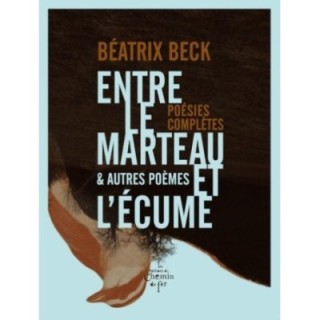 Entre le marteau et l'écume ; et autres poèmes ; poésies complètes