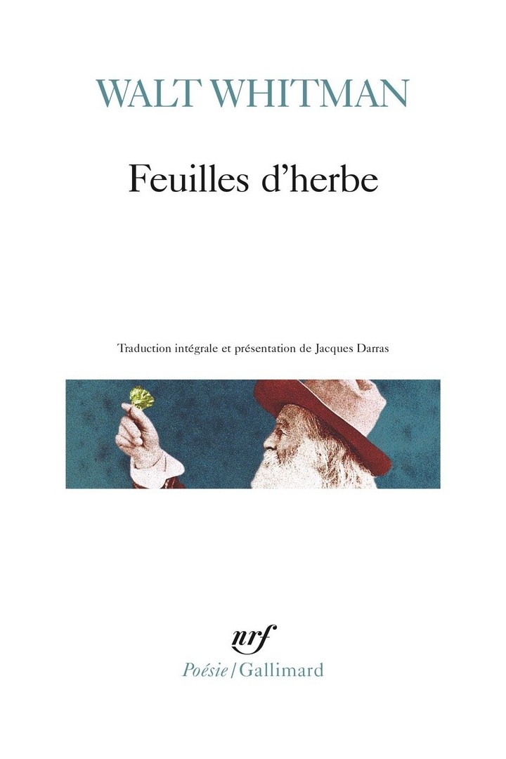 Feuilles d'herbe