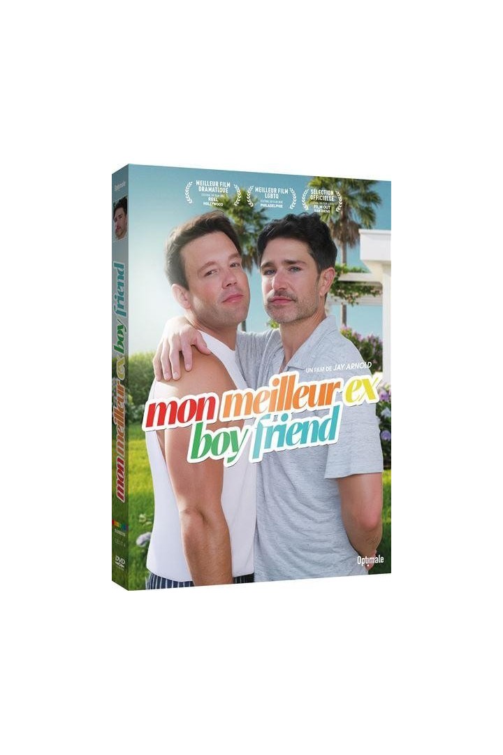 Mon meilleur ex boy friend