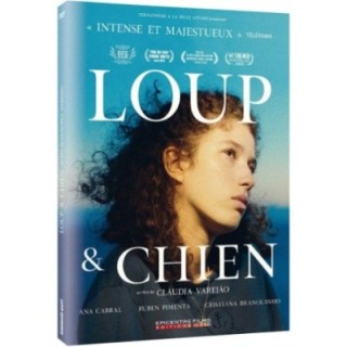 Loup & chien