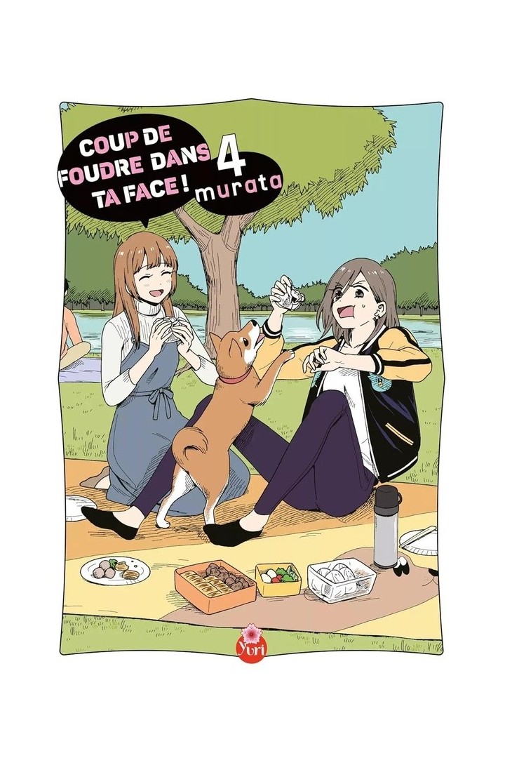 Coup de foudre dans ta face Tome 4