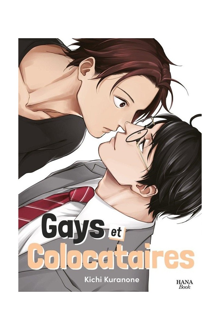 Gays et colocataires