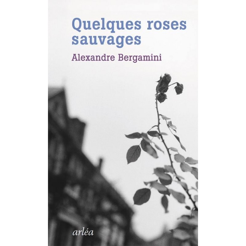 Quelques roses sauvages
