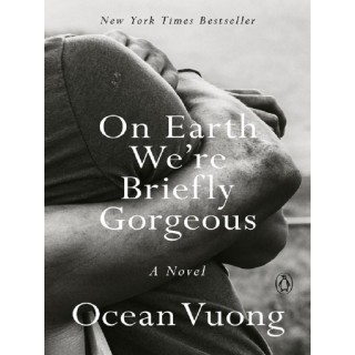 On Earth We're Briefly Gorgeous : A Novel