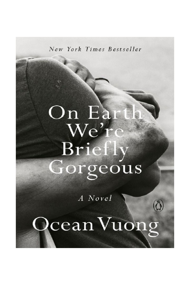 On Earth We're Briefly Gorgeous : A Novel