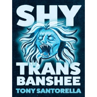 Shy Trans Banshee : The supernatural mystery that's an absolute scream