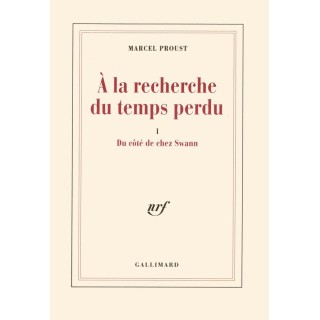 À la recherche du temps perdu Tome 1 : du côté de chez Swann