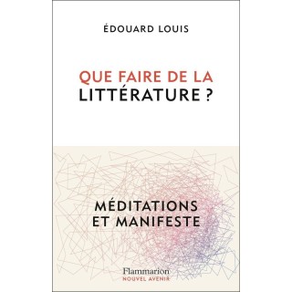 Que faire de la littérature ? Méditations et manifeste