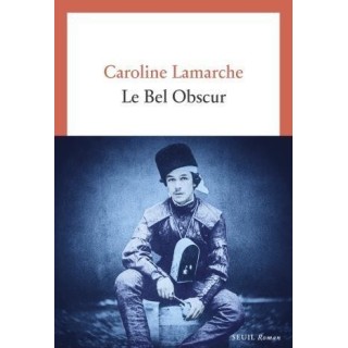 Le bel obscur