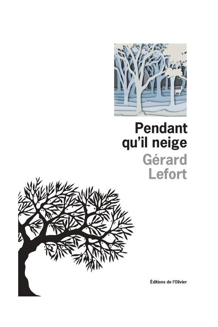 Pendant qu'il neige