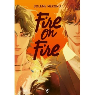 Fire on Ice Tome 3 : Fire on Fire