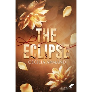 The eclipse