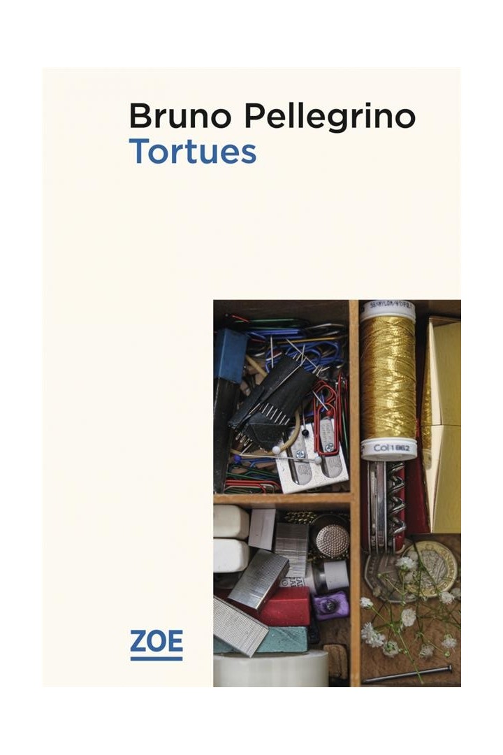 Tortues