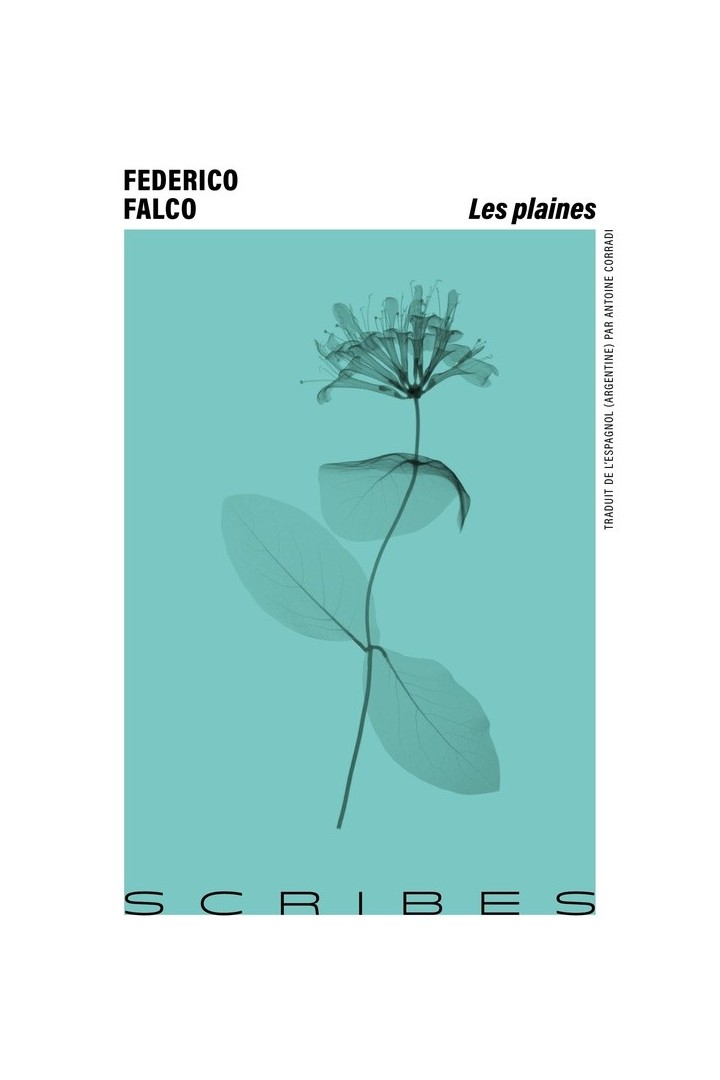Les plaines
