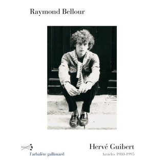 Hervé Guibert : articles 1980-1995