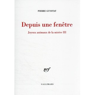 Depuis une fenêtre : joyeux animaux de la misère III