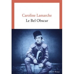 Le bel obscur