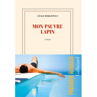Mon pauvre lapin