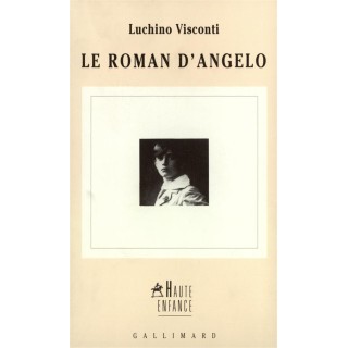 Le roman d'angelo