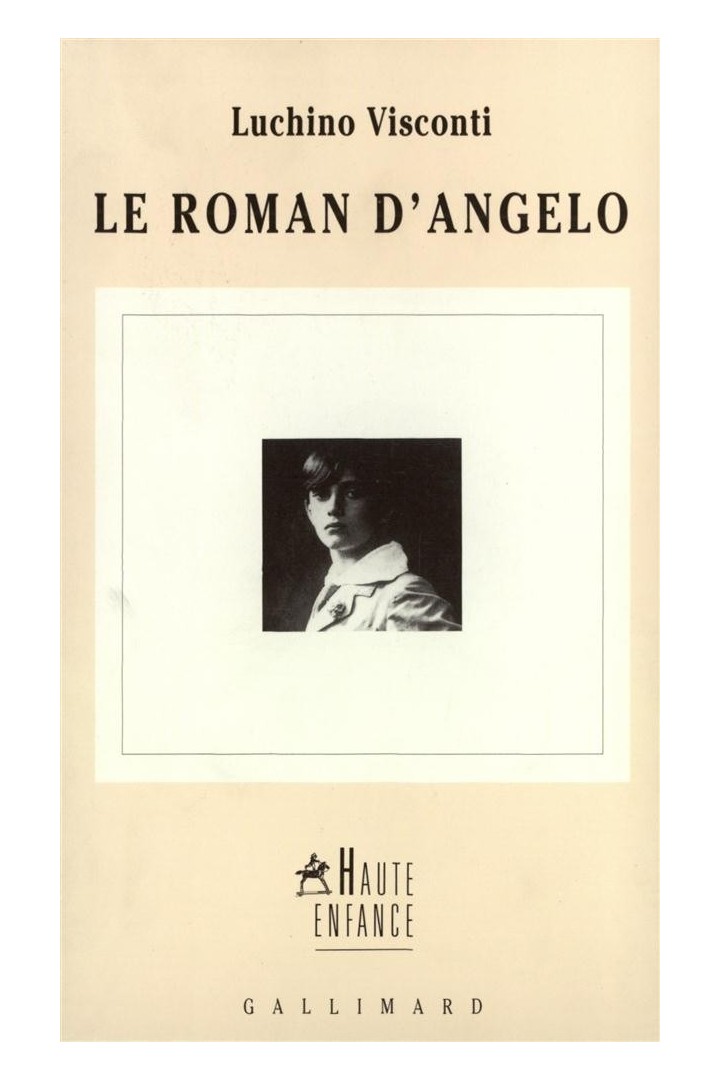 Le roman d'angelo
