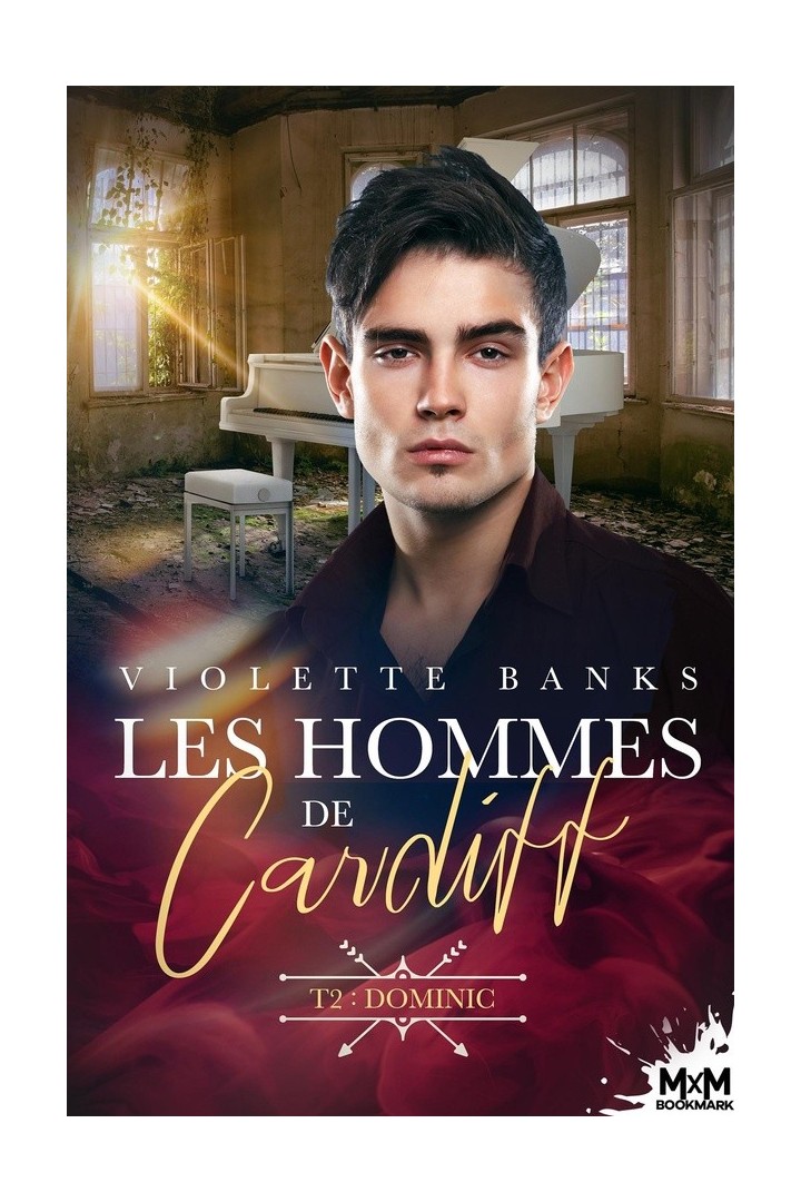 Les hommes de Cardiff Tome 2 : Dominic