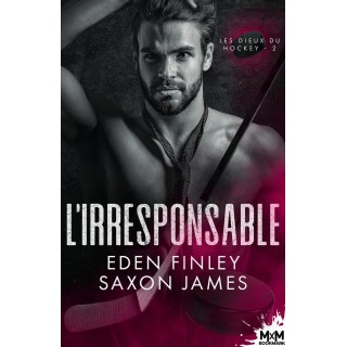 Les dieux du hockey Tome 2 : L'irresponsable