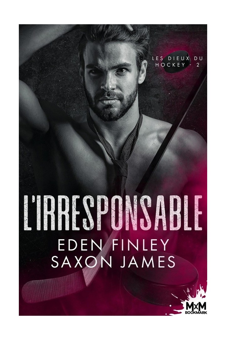 Les dieux du hockey Tome 2 : L'irresponsable
