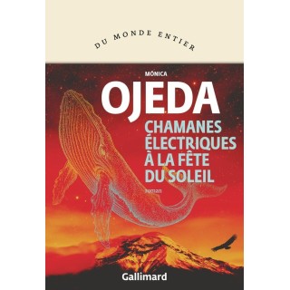 Chamanes électriques à la fête du Soleil