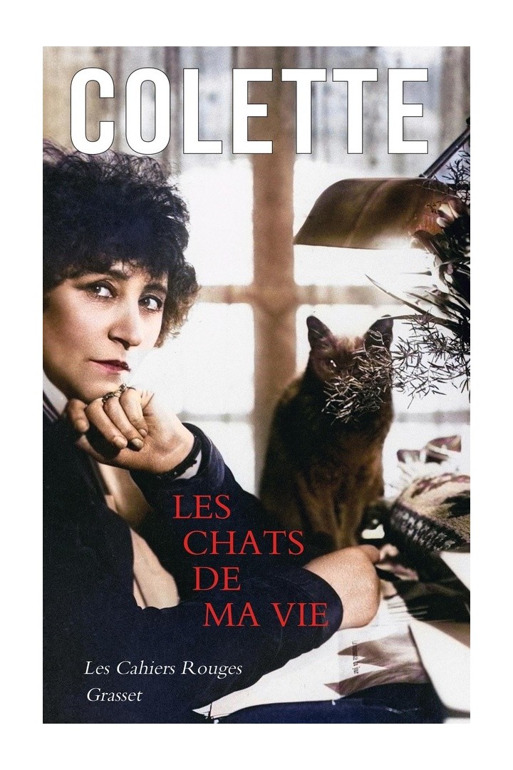 Les chats de ma vie