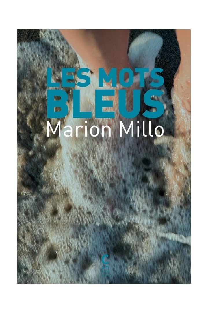 Les Mots bleus